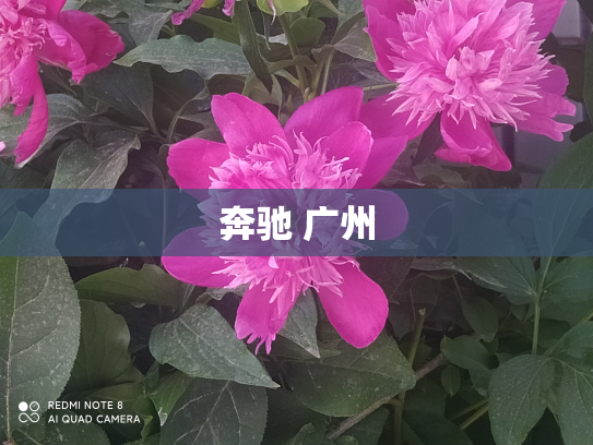 奔驰 广州