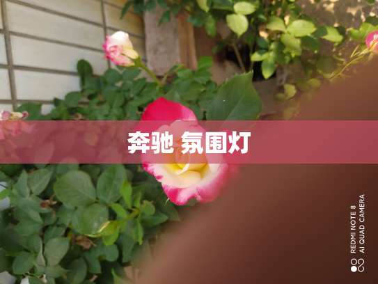 奔驰 氛围灯