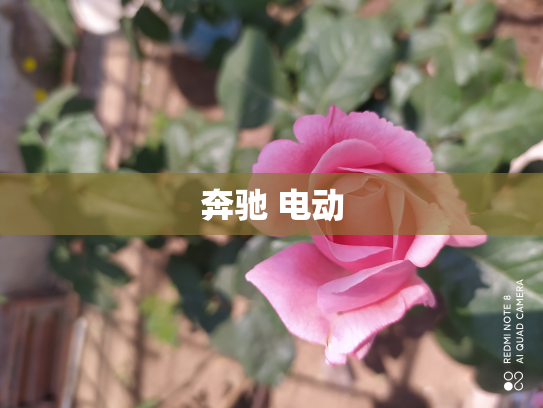 奔驰 电动