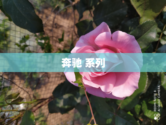奔驰 系列