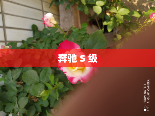 奔驰 S 级