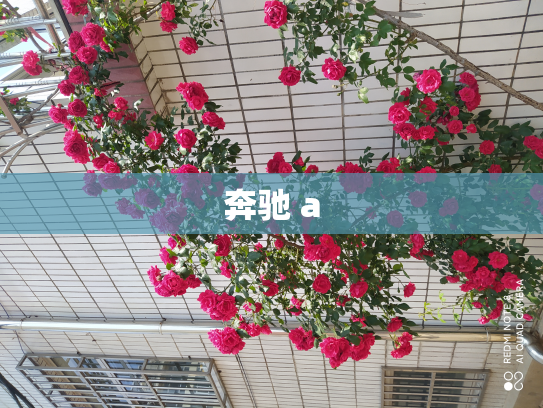 奔驰 a