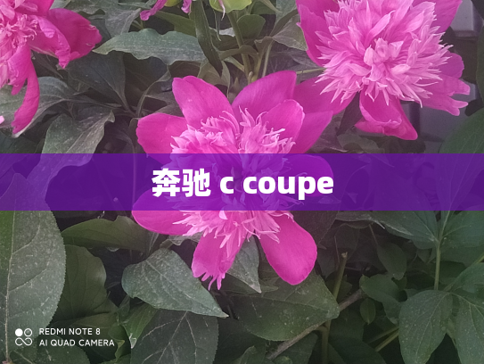 奔驰 c coupe