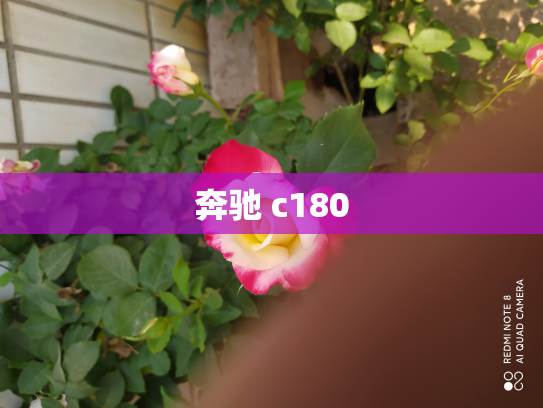 奔驰 c180