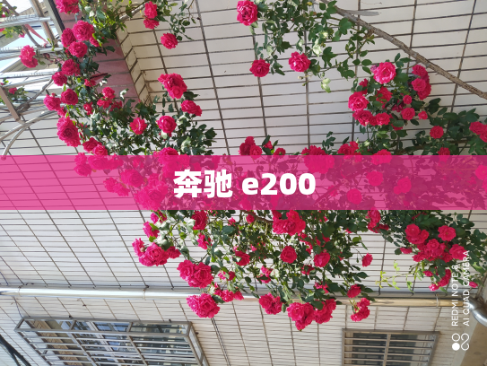 奔驰 e200