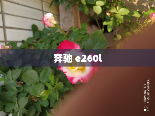 奔驰 e260l