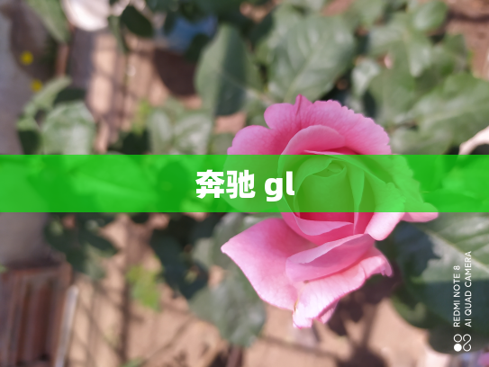 奔驰 gl