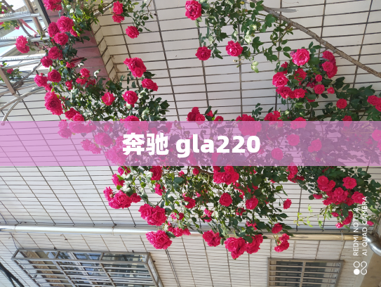 奔驰 gla220