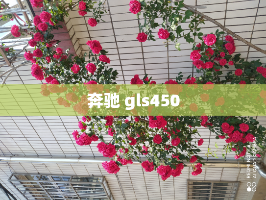 奔驰 gls450