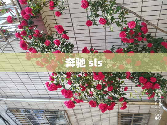 奔驰 sls