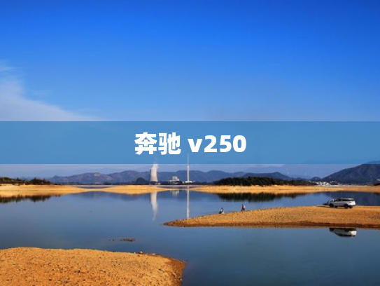 奔驰 v250