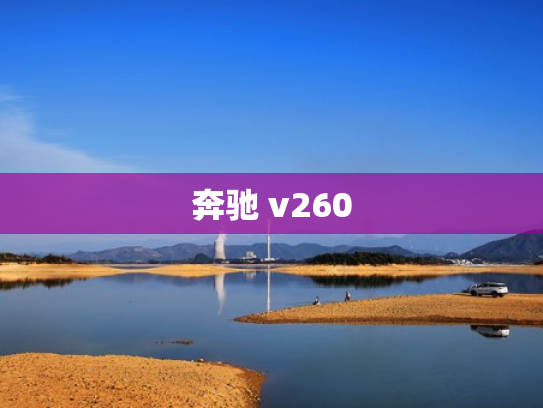 奔驰 v260