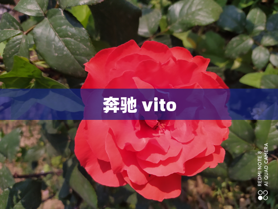 奔驰 vito