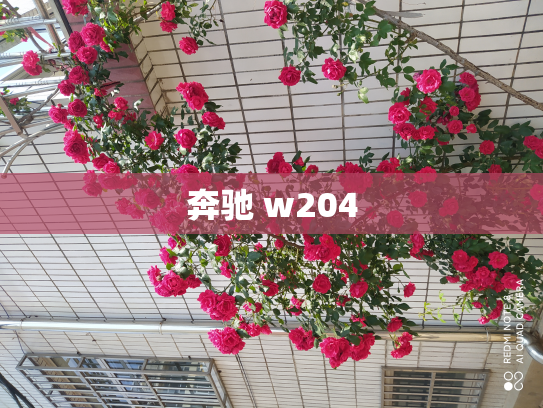 奔驰 w204