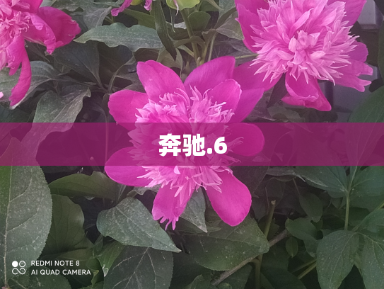 奔驰.6