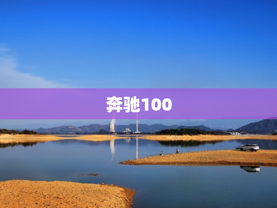 奔驰100