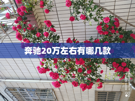 奔驰20万左右有哪几款