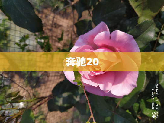 奔驰20