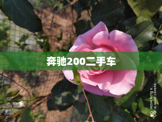 奔驰200二手车