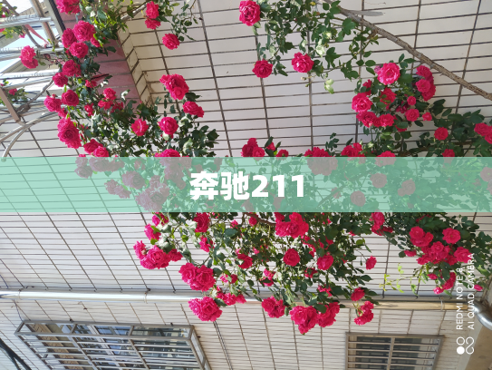 奔驰211