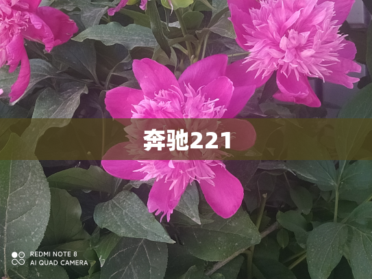 奔驰221