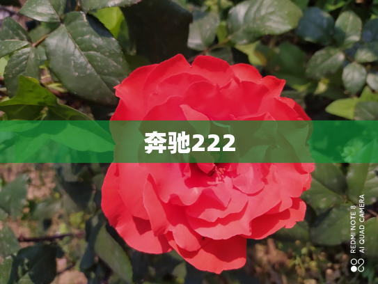 奔驰222