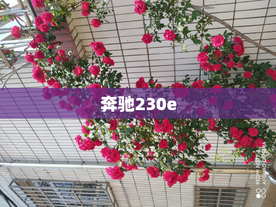奔驰230e