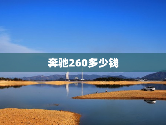 奔驰260多少钱