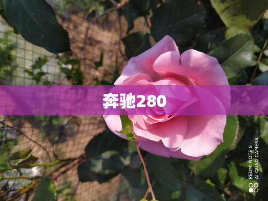 奔驰280