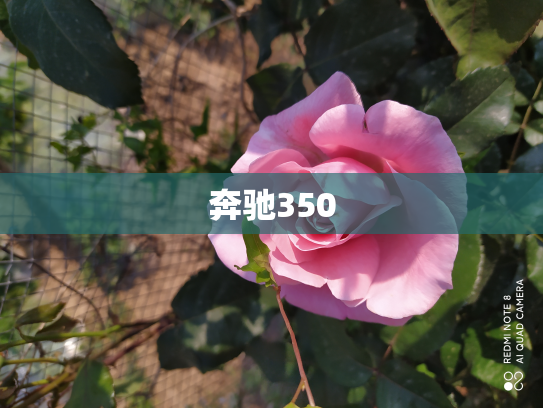 奔驰350