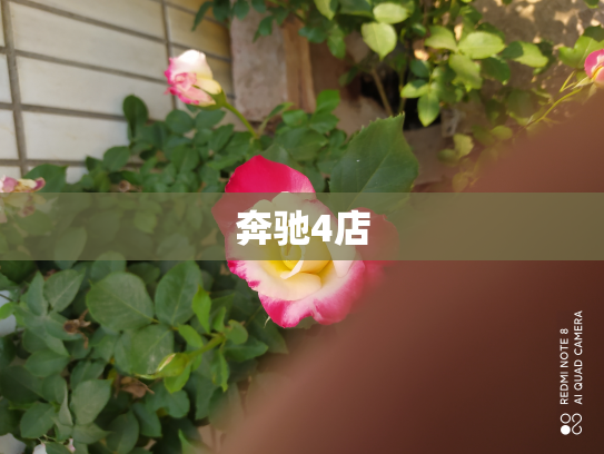 奔驰4店