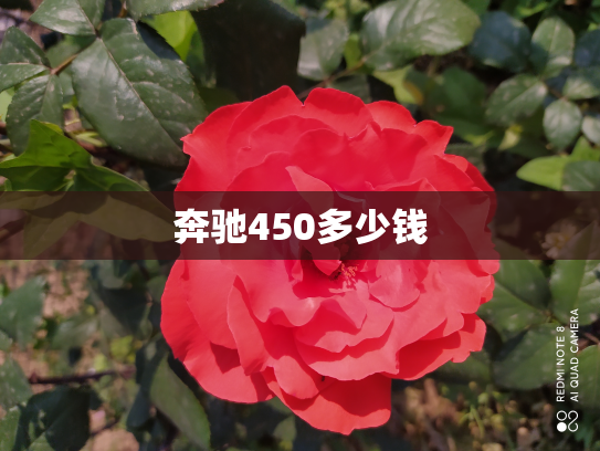 奔驰450多少钱