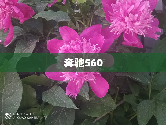 奔驰560