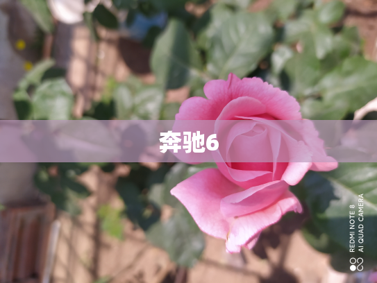 奔驰6