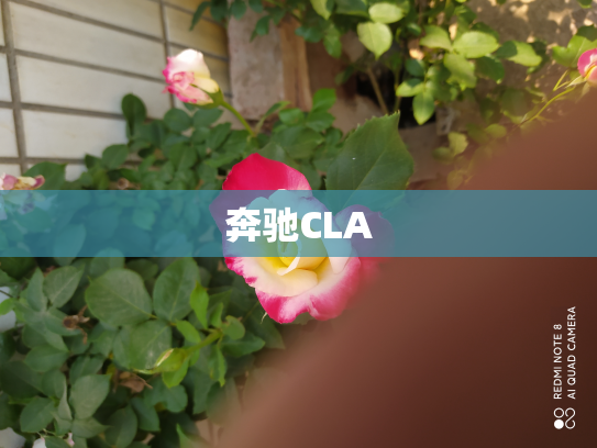 奔驰CLA
