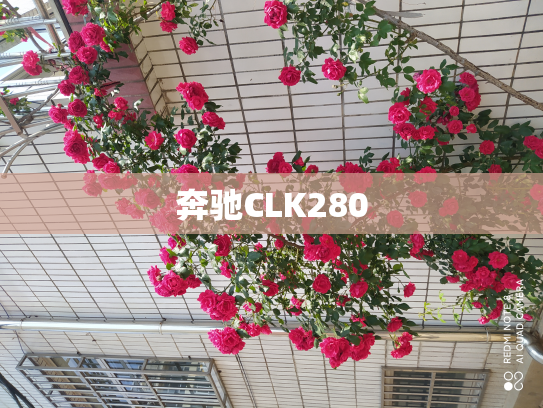 奔驰CLK280