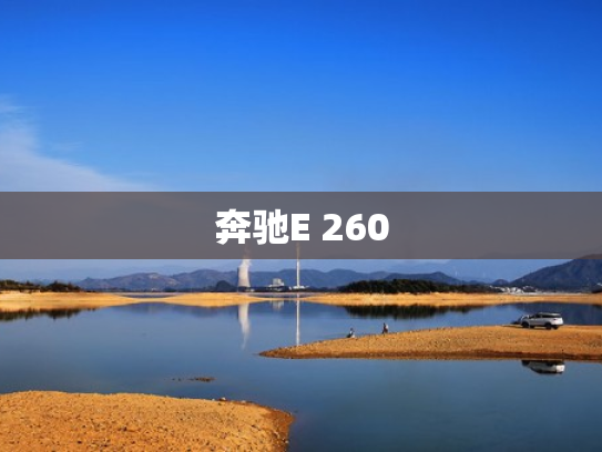 奔驰E 260