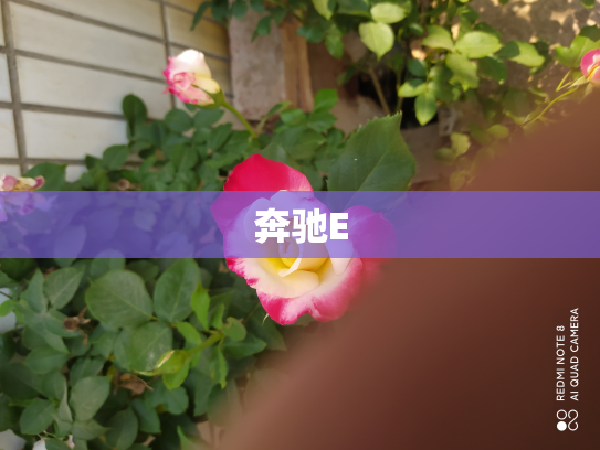 奔驰E
