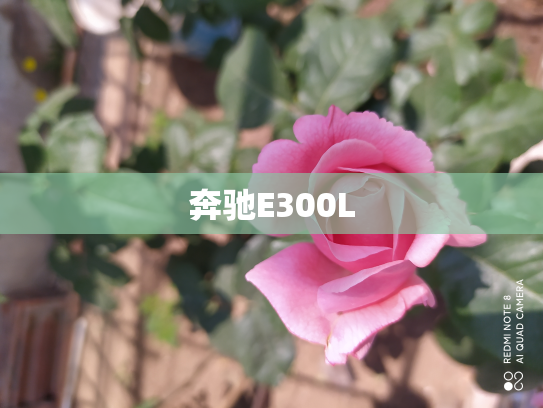 奔驰E300L