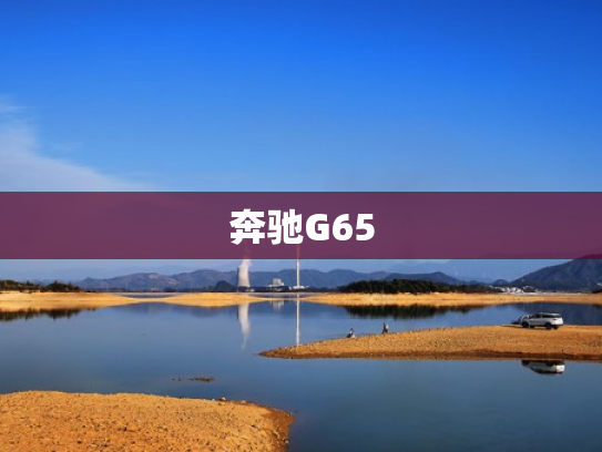 奔驰G65