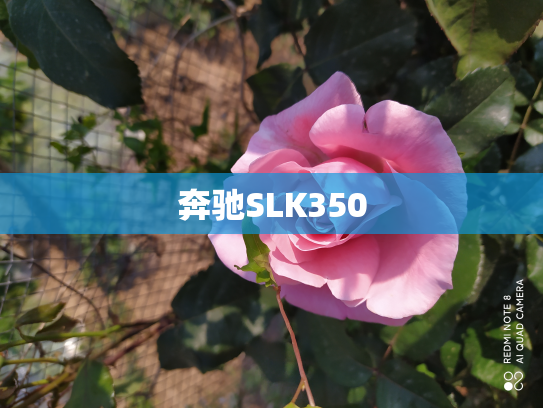 奔驰SLK350