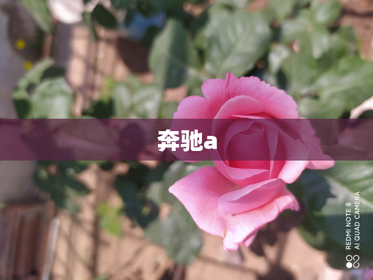奔驰a