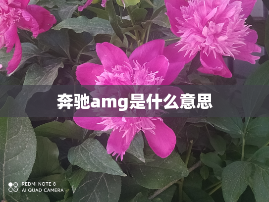 奔驰amg是什么意思