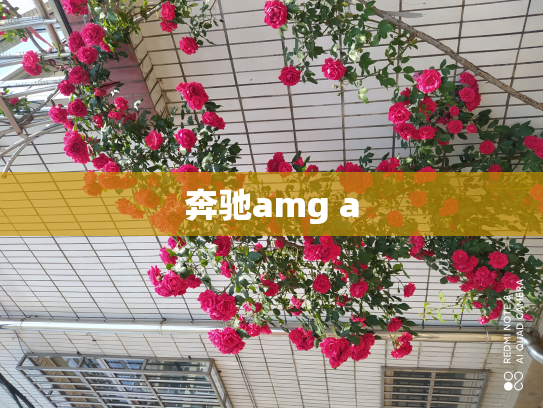 奔驰amg a