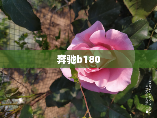 奔驰b180