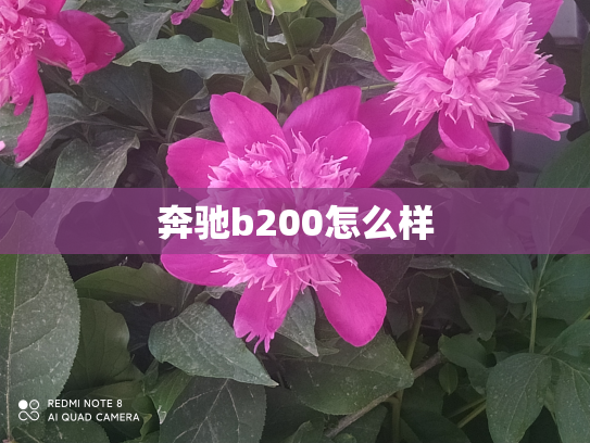 奔驰b200怎么样