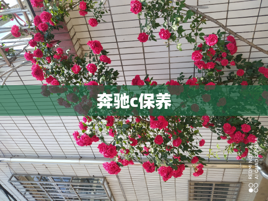 奔驰c保养
