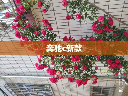 奔驰c新款