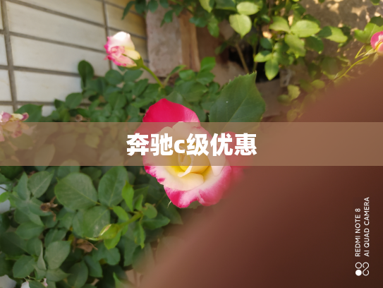 奔驰c级优惠