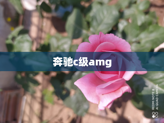 奔驰c级amg